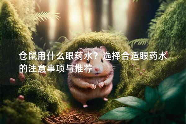 仓鼠用什么眼药水？选择合适眼药水的注意事项与推荐