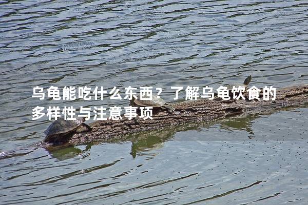 乌龟能吃什么东西？了解乌龟饮食的多样性与注意事项