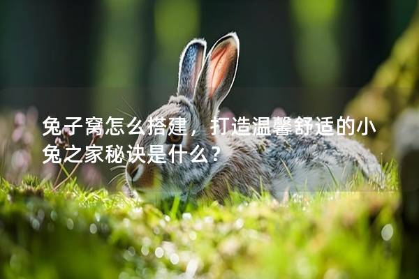 兔子窝怎么搭建，打造温馨舒适的小兔之家秘诀是什么？