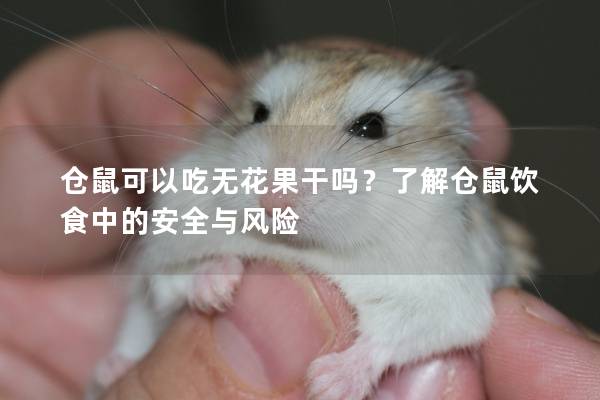 仓鼠可以吃无花果干吗？了解仓鼠饮食中的安全与风险