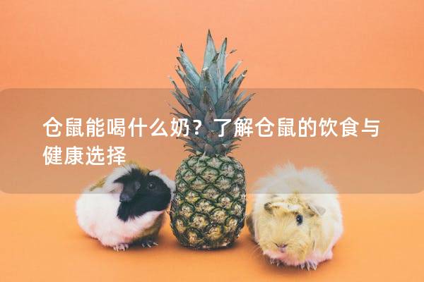 仓鼠能喝什么奶？了解仓鼠的饮食与健康选择