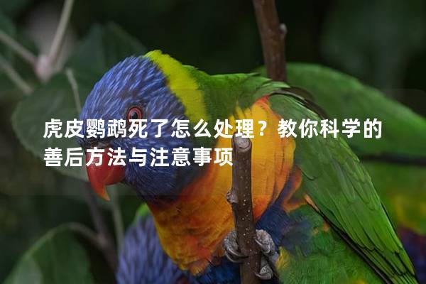 虎皮鹦鹉死了怎么处理？教你科学的善后方法与注意事项