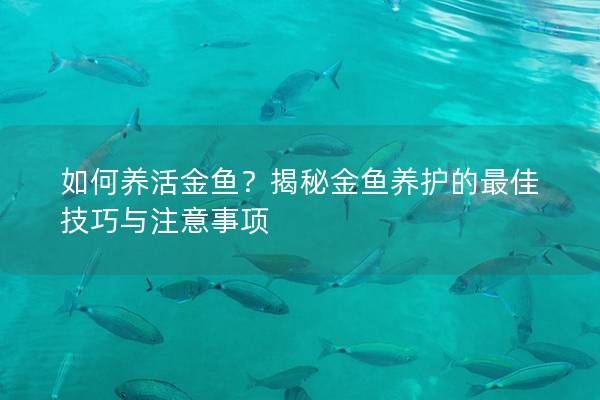如何养活金鱼？揭秘金鱼养护的最佳技巧与注意事项