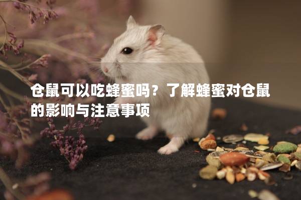 仓鼠可以吃蜂蜜吗？了解蜂蜜对仓鼠的影响与注意事项