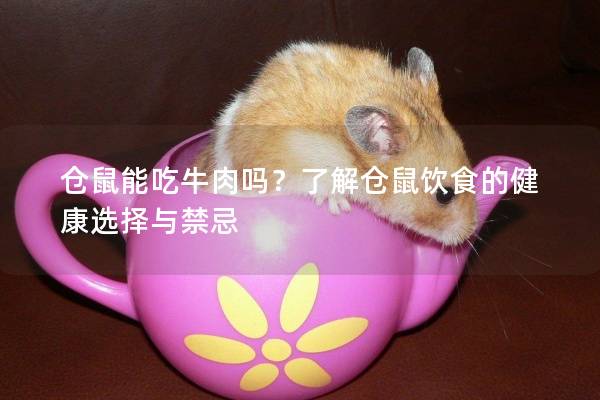 仓鼠能吃牛肉吗？了解仓鼠饮食的健康选择与禁忌