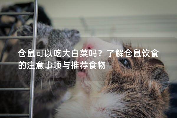 仓鼠可以吃大白菜吗？了解仓鼠饮食的注意事项与推荐食物