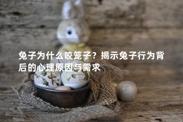 兔子为什么咬笼子？揭示兔子行为背后的心理原因与需求