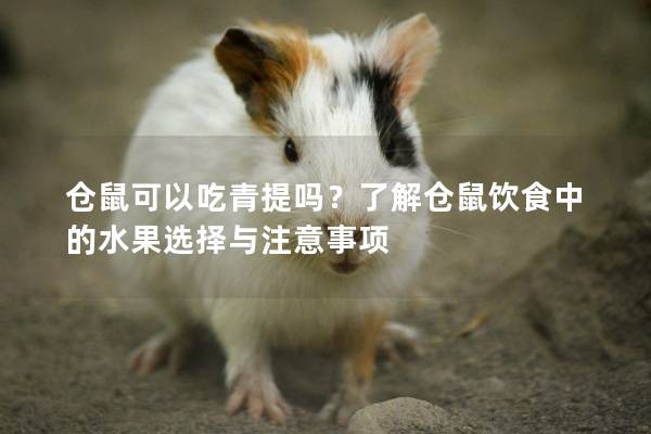 仓鼠可以吃青提吗？了解仓鼠饮食中的水果选择与注意事项