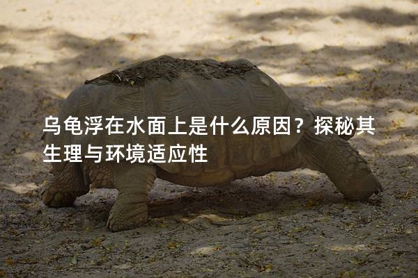 乌龟浮在水面上是什么原因？探秘其生理与环境适应性