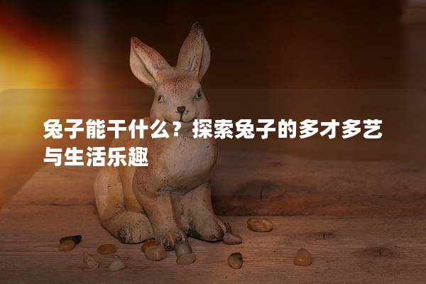兔子能干什么？探索兔子的多才多艺与生活乐趣