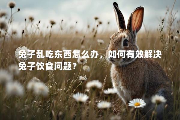 兔子乱吃东西怎么办，如何有效解决兔子饮食问题？