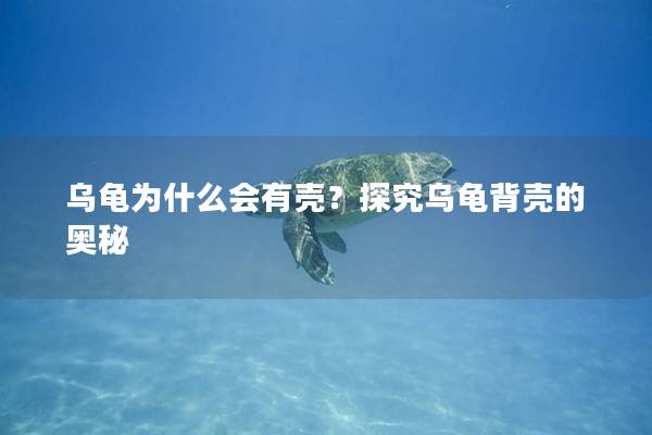 乌龟为什么会有壳？探究乌龟背壳的奥秘