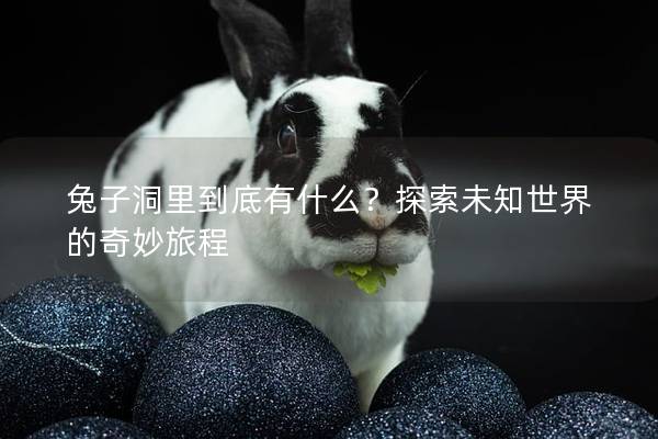 兔子洞里到底有什么？探索未知世界的奇妙旅程