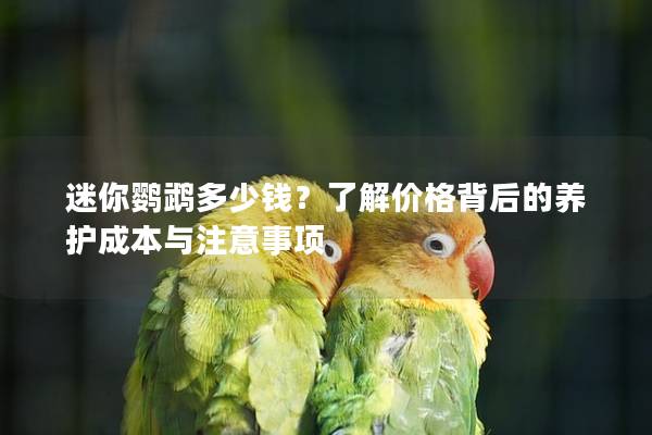 迷你鹦鹉多少钱？了解价格背后的养护成本与注意事项