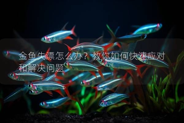 金鱼失漂怎么办？教你如何快速应对和解决问题
