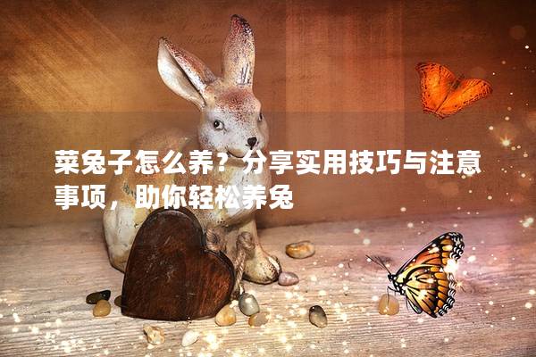菜兔子怎么养？分享实用技巧与注意事项，助你轻松养兔