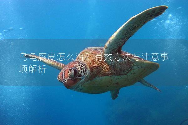 乌龟腐皮怎么治？有效方法与注意事项解析