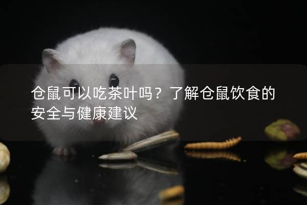 仓鼠可以吃茶叶吗？了解仓鼠饮食的安全与健康建议