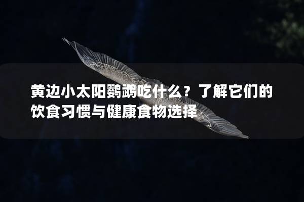 黄边小太阳鹦鹉吃什么？了解它们的饮食习惯与健康食物选择