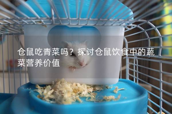仓鼠吃青菜吗？探讨仓鼠饮食中的蔬菜营养价值