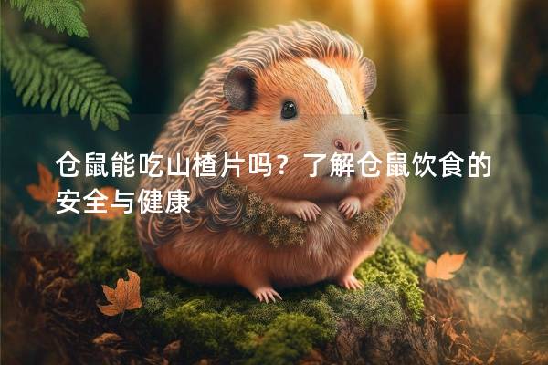 仓鼠能吃山楂片吗？了解仓鼠饮食的安全与健康