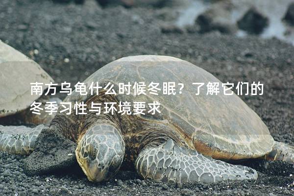 南方乌龟什么时候冬眠？了解它们的冬季习性与环境要求