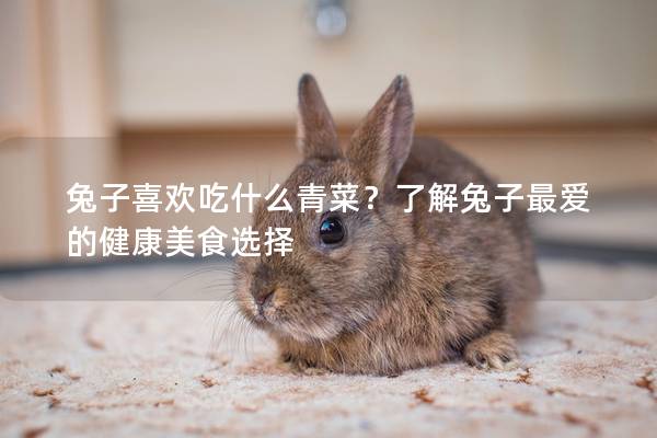 兔子喜欢吃什么青菜？了解兔子最爱的健康美食选择