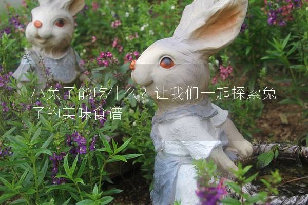 小兔子能吃什么？让我们一起探索兔子的美味食谱