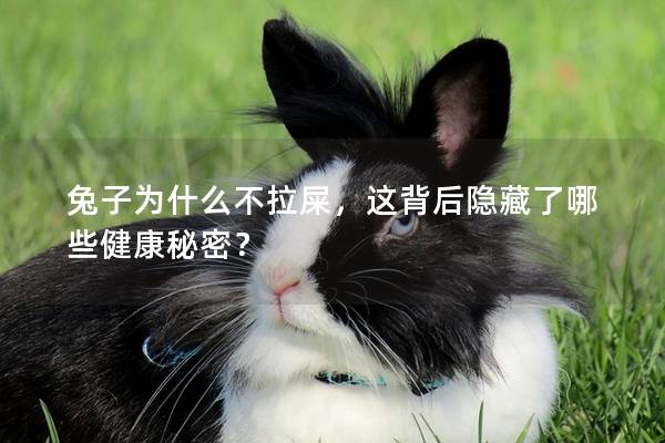 兔子为什么不拉屎，这背后隐藏了哪些健康秘密？