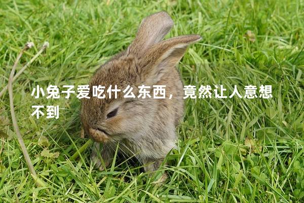 小兔子爱吃什么东西，竟然让人意想不到