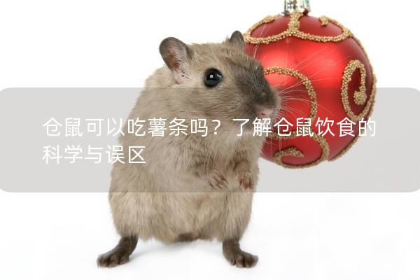 仓鼠可以吃薯条吗？了解仓鼠饮食的科学与误区