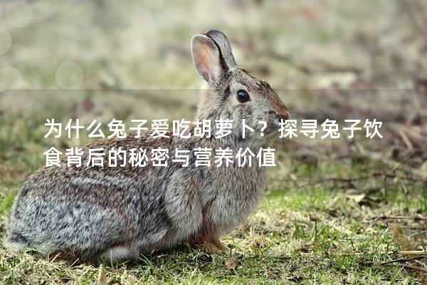 为什么兔子爱吃胡萝卜？探寻兔子饮食背后的秘密与营养价值
