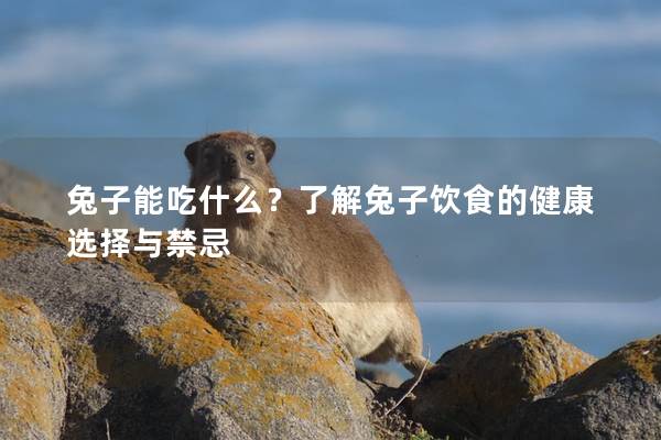 兔子能吃什么？了解兔子饮食的健康选择与禁忌