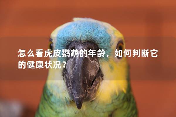 怎么看虎皮鹦鹉的年龄，如何判断它的健康状况？