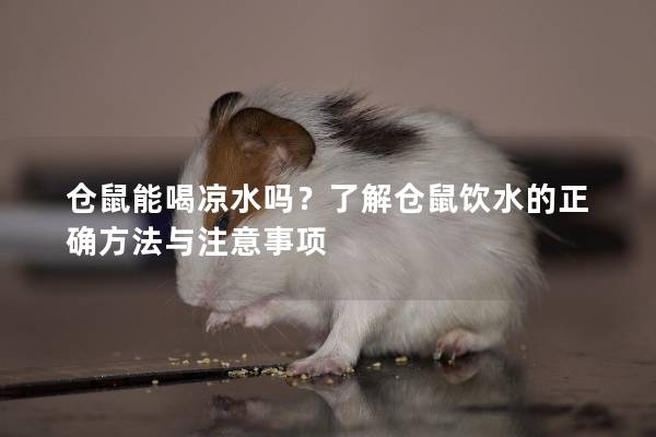 仓鼠能喝凉水吗？了解仓鼠饮水的正确方法与注意事项