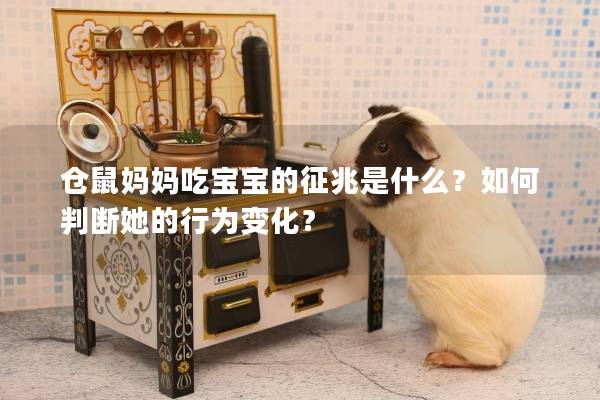仓鼠妈妈吃宝宝的征兆是什么？如何判断她的行为变化？