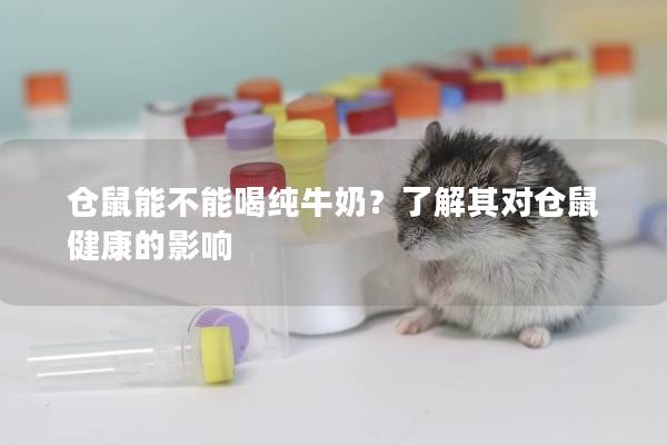 仓鼠能不能喝纯牛奶？了解其对仓鼠健康的影响