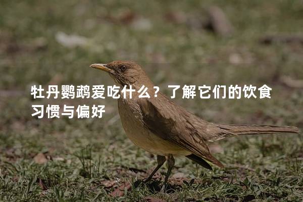 牡丹鹦鹉爱吃什么？了解它们的饮食习惯与偏好