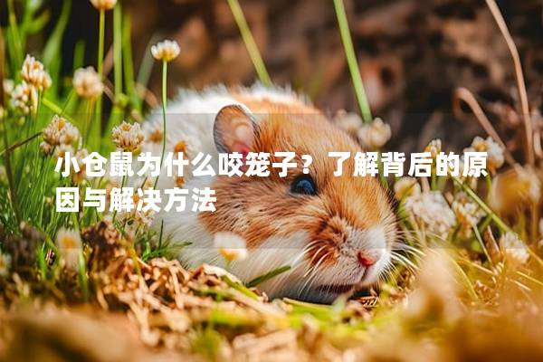 小仓鼠为什么咬笼子？了解背后的原因与解决方法