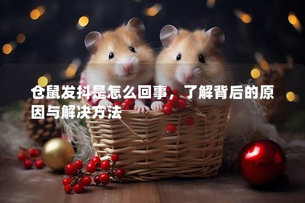 仓鼠发抖是怎么回事，了解背后的原因与解决方法
