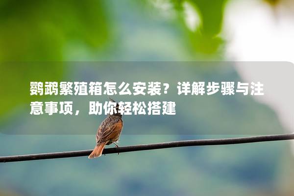 鹦鹉繁殖箱怎么安装？详解步骤与注意事项，助你轻松搭建
