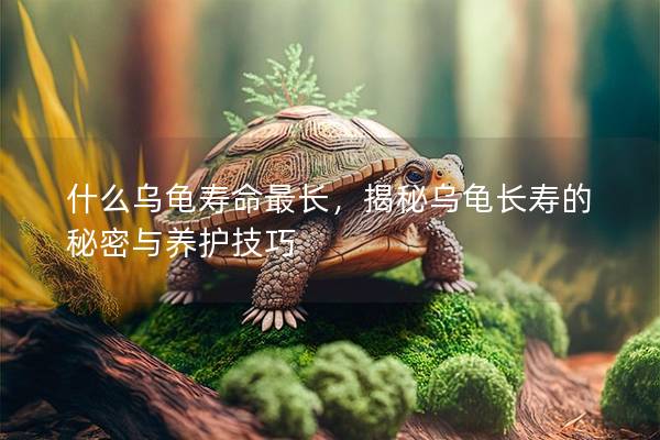 什么乌龟寿命最长，揭秘乌龟长寿的秘密与养护技巧