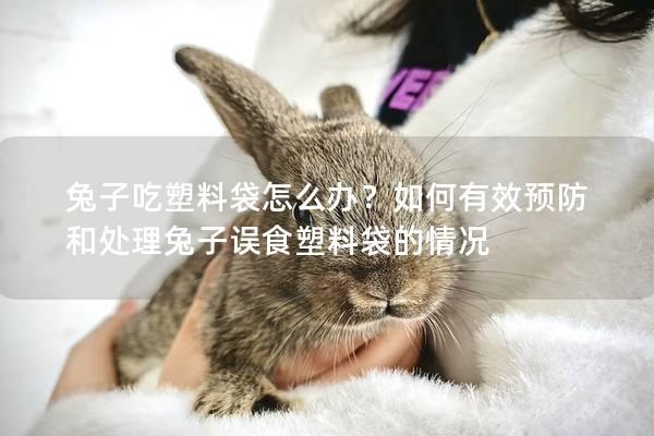 兔子吃塑料袋怎么办？如何有效预防和处理兔子误食塑料袋的情况