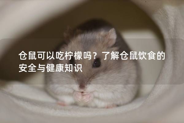 仓鼠可以吃柠檬吗？了解仓鼠饮食的安全与健康知识
