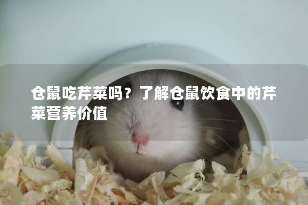 仓鼠吃芹菜吗？了解仓鼠饮食中的芹菜营养价值