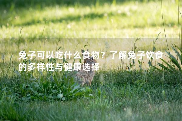 兔子可以吃什么食物？了解兔子饮食的多样性与健康选择