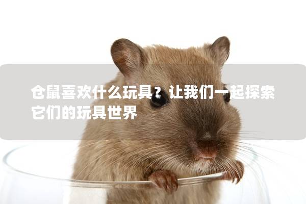 仓鼠喜欢什么玩具？让我们一起探索它们的玩具世界