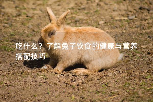吃什么？了解兔子饮食的健康与营养搭配技巧