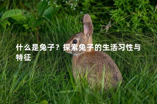 什么是兔子？探索兔子的生活习性与特征
