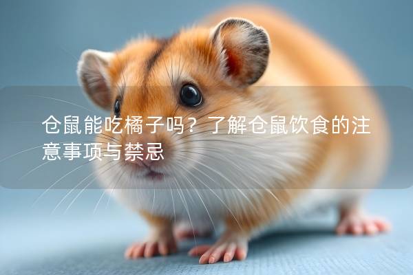 仓鼠能吃橘子吗？了解仓鼠饮食的注意事项与禁忌